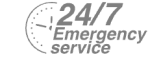 24/7 Emergency Service Pest Control in Peckham, Nunhead, SE15. Call Now! 020 8166 9746